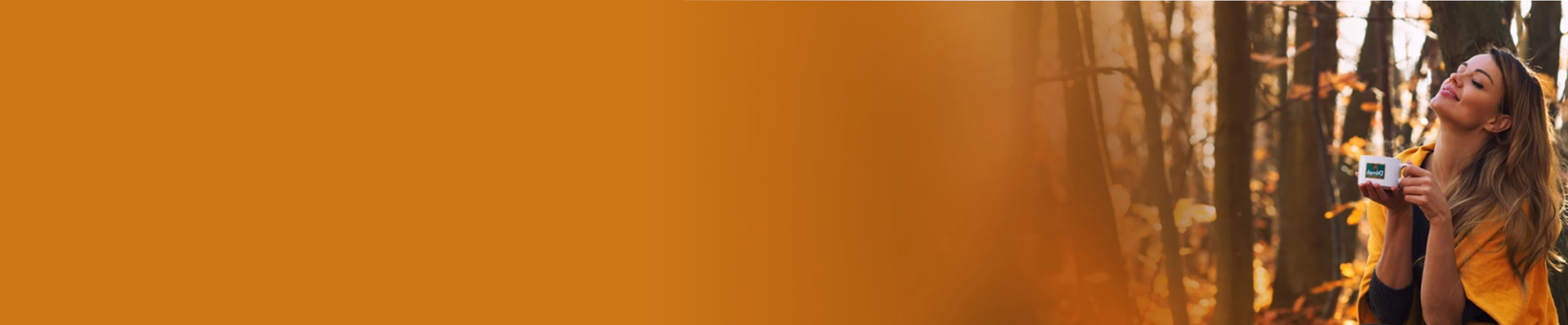 Refreshed & Rejuvenated